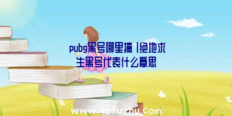 「pubg黑号哪里搞」|绝地求生黑号代表什么意思